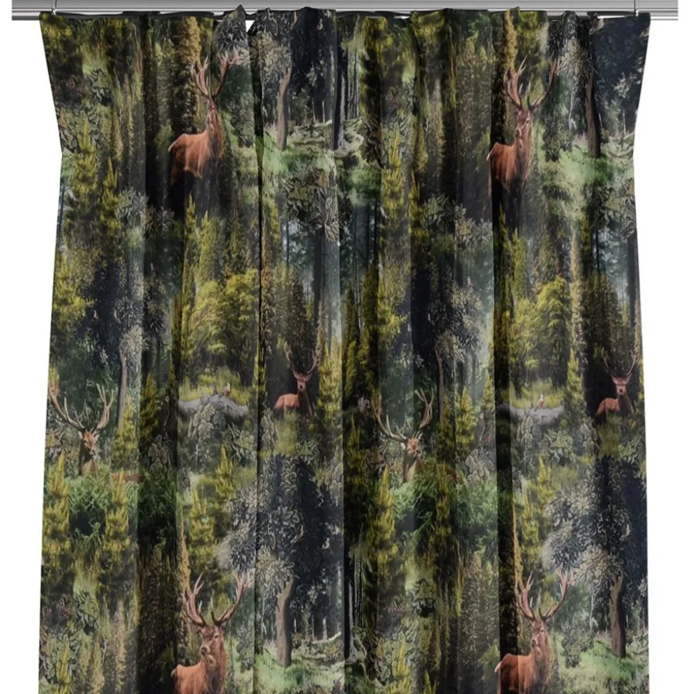 Ancient forest gardiner