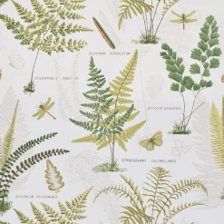 Aspidium tyg