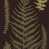 Cora löpare 35X120