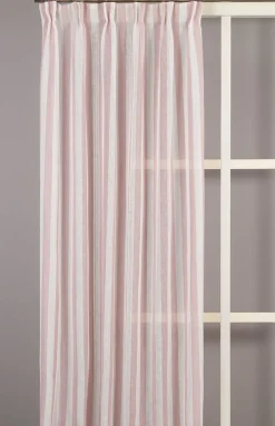 Disa rosa randiga gardiner