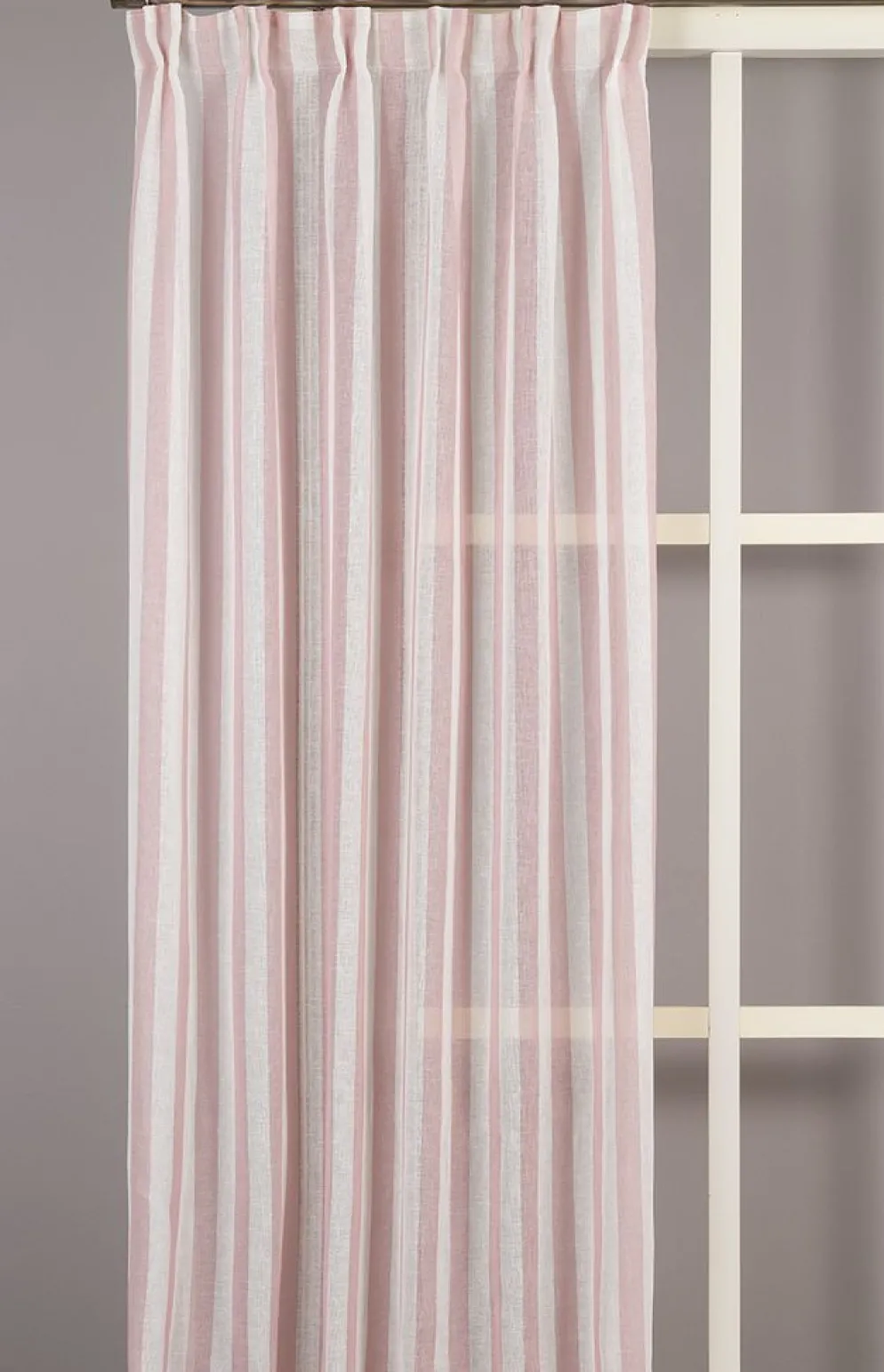 Disa rosa randiga gardiner