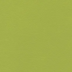 Karia lime fuskskinn