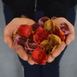 Mini pom grape