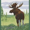 Moose kökshandduk 35X50 - Ekelunds Linneväveri
