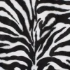 Velboa vit zebra
