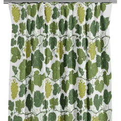 Vitis vinifera gardiner